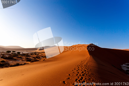 Image of sand dunes at Sossusvlei, Namibia