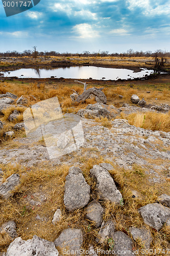 Image of Empty waterhole in namibia game reserve