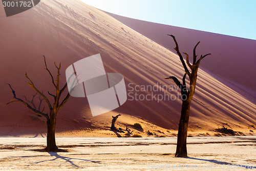 Image of beautiful landscape of Hidden Vlei in Namib desert 