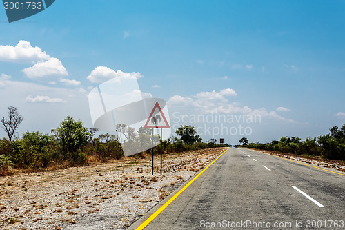 Image of Endless road with blue sky and sign elephants crossing