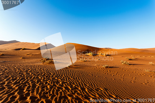 Image of sand dunes at Sossusvlei, Namibia