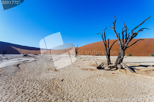 Image of beautiful landscape of Hidden Vlei in Namib desert 