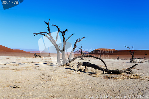 Image of beautiful landscape of Hidden Vlei in Namib desert 