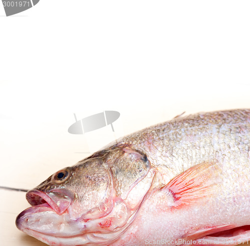 Image of fresh whole raw fish