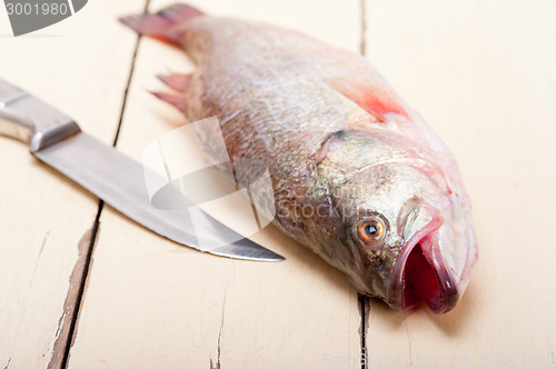Image of fresh whole raw fish