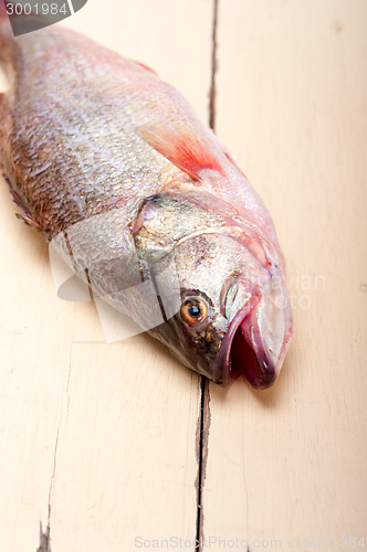 Image of fresh whole raw fish