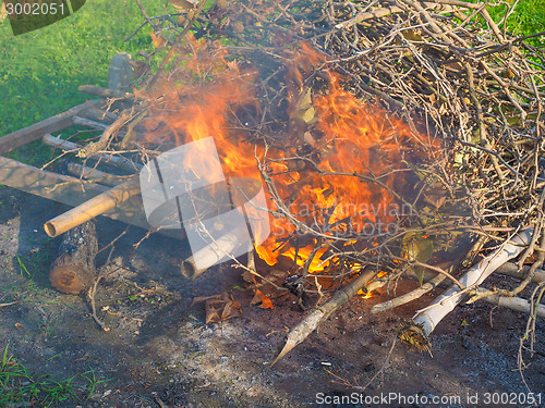 Image of Burning fire