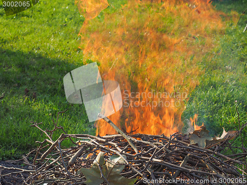 Image of Burning fire