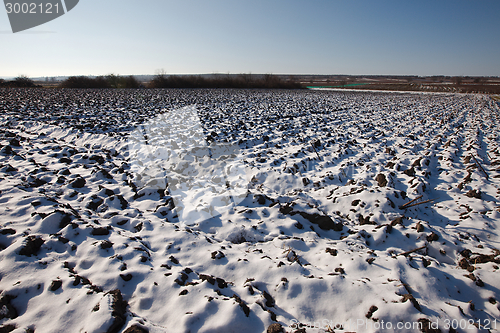 Image of Snowy field