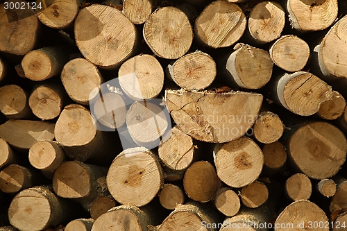 Image of Log Pile