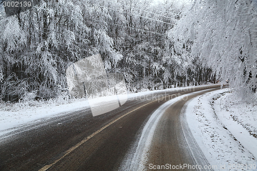 Image of Winter Road