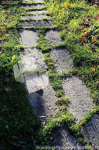 Image of big stones paved path in greens