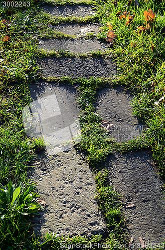 Image of big stones paved path in greens