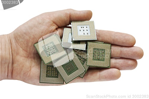 Image of old chips in hand