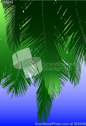 Image of Coconut fronds