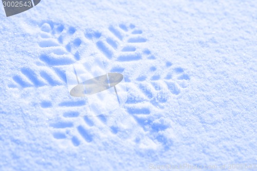 Image of snowflake against a background of snow