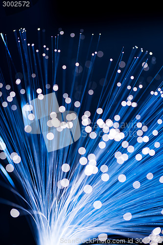 Image of Fibre optic cables