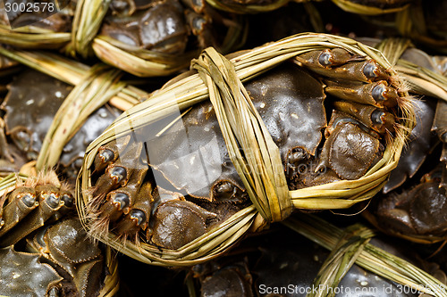 Image of Yangcheng lake chinese crabs