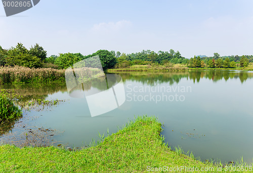 Image of Fish hatchery pond 