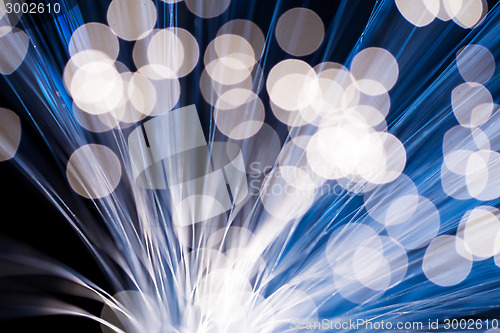 Image of Abstract Optical Fibers 