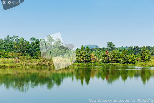 Image of Wetland