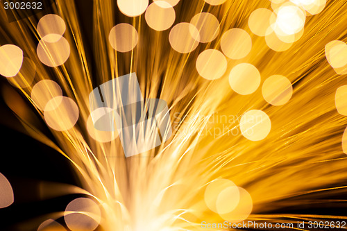 Image of Fibre Optic Light 