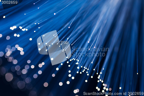 Image of Blue fiber optics