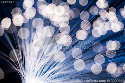 Image of Optical fibres 