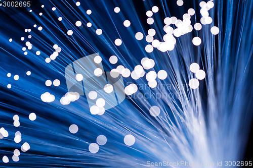 Image of Optical fiber