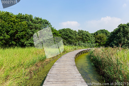 Image of Wooden path in forest