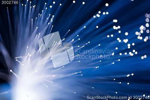 Image of Optical fiber 