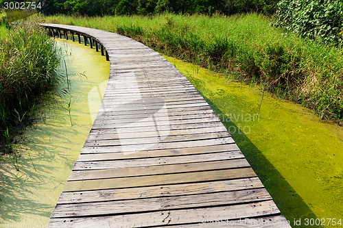 Image of Wooden foot bridge 