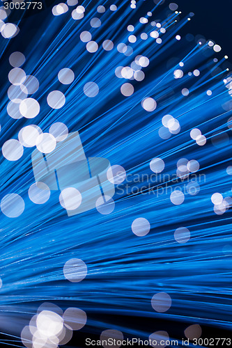 Image of Bunch of optical fibres