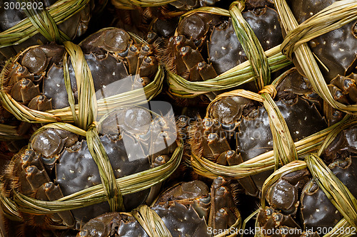 Image of Hairy crabs in china