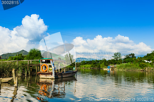 Image of Wetland and sunshine