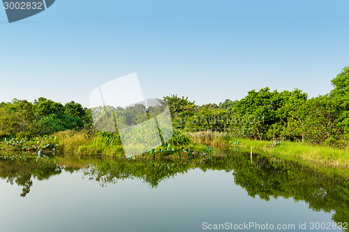 Image of Wetland with blue sky