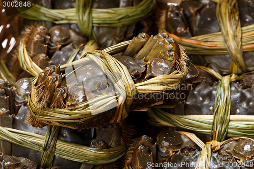 Image of Freshness hairy crabs