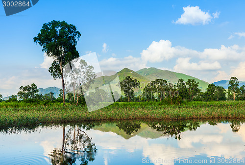 Image of Wetland