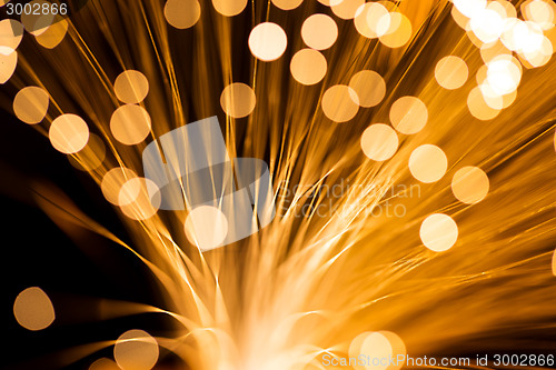 Image of Golden fibre optic strands