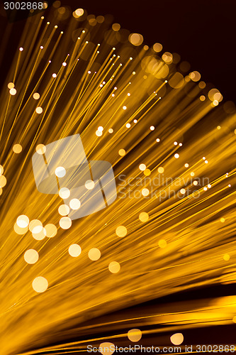 Image of Golden fibre optic light strand