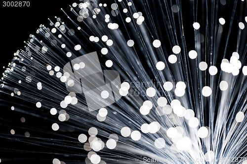 Image of Fiber optic cables