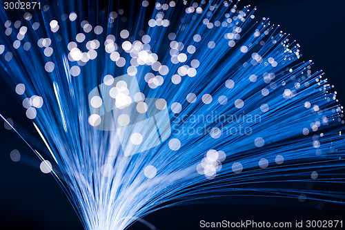 Image of Fibre optic strands 