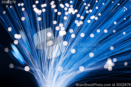 Image of Optical fibers 