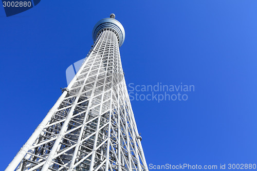 Image of Tokyo Sky Tree