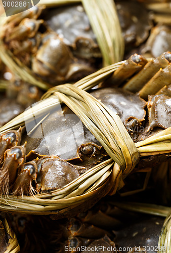 Image of Uncooked Hairy crabs