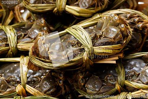 Image of Chinese hairy crabs