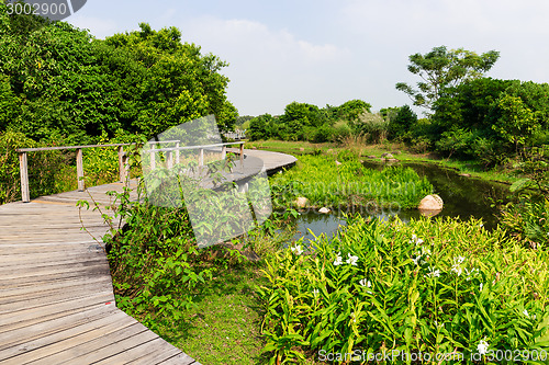 Image of Wooden bridge through the lake