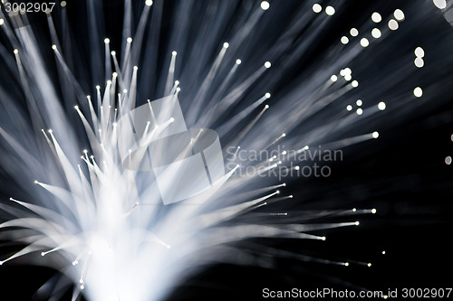 Image of Fiber optics close up