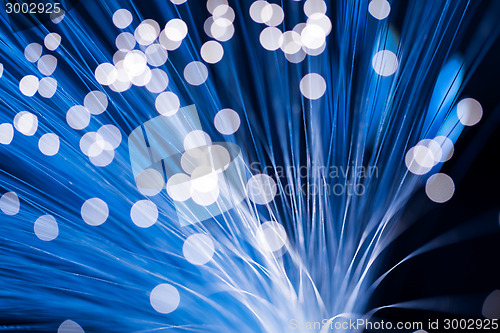 Image of Blue fibre optic cable 