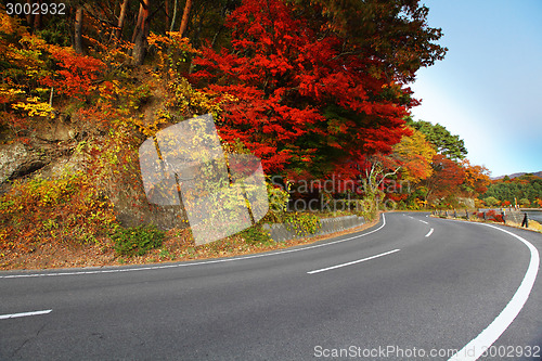 Image of Highway with colorful maple leaves